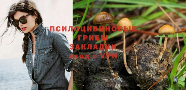 ешки Арсеньев