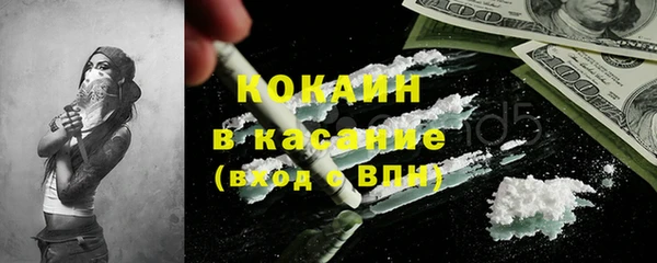 ешки Арсеньев