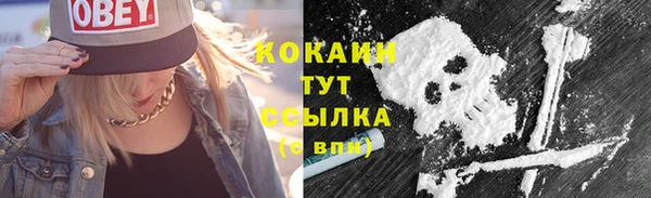 ПСИЛОЦИБИНОВЫЕ ГРИБЫ Протвино