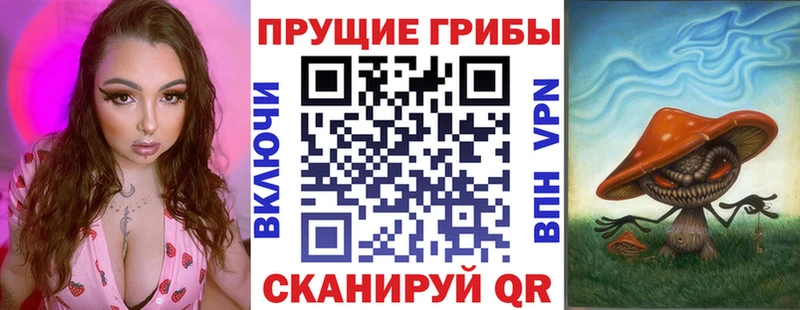 Псилоцибиновые грибы Cubensis Казань