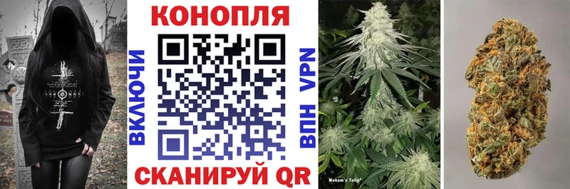 Бошки Шишки White Widow  купить  сайты  Казань 